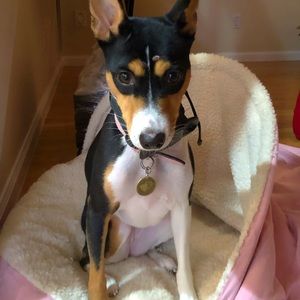 Meet your Posher, Ashley